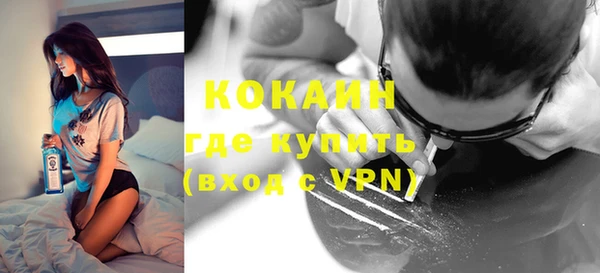 дживик Чита