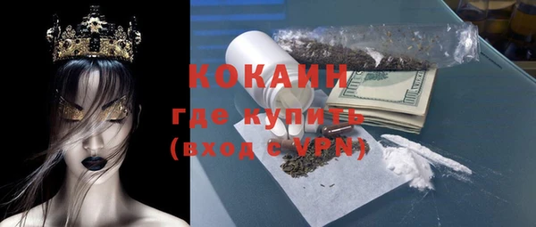 дживик Чита