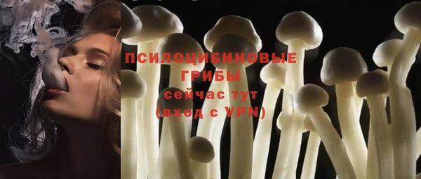 дживик Чита