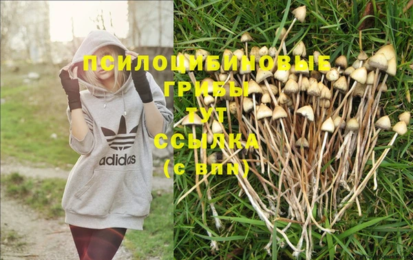 эйфоретик Пенза