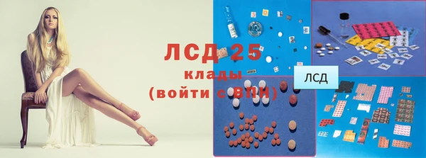дживик Чита