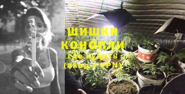 дживик Чита