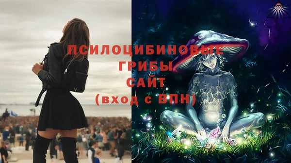 эйфоретик Архангельск