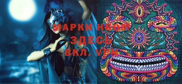 дживик Чита