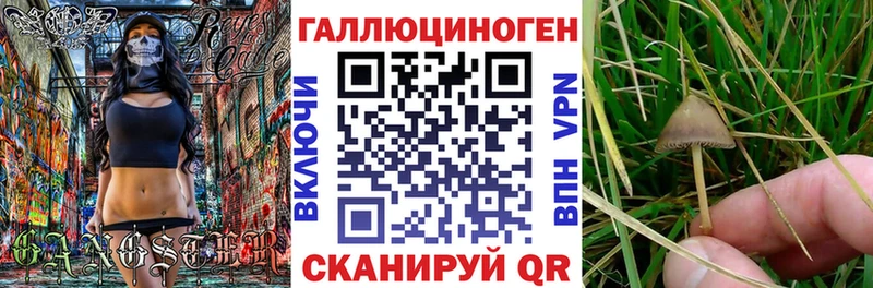 Галлюциногенные грибы GOLDEN TEACHER  купить закладку  Бежецк 